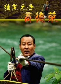 猫咪官网