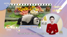 亚洲精品免费在线视频